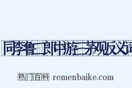 同李鲁二郎中游三茅观反义词是什么意思的图片